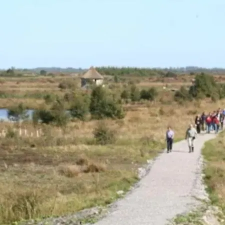 Killooley Bed & Breakfast Tullamore