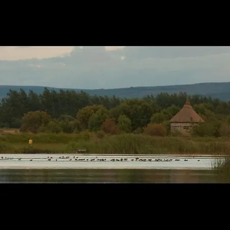 Panzió Killooley Tullamore