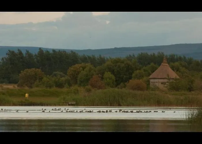 Nocleg ze śniadaniem Killooley Tullamore